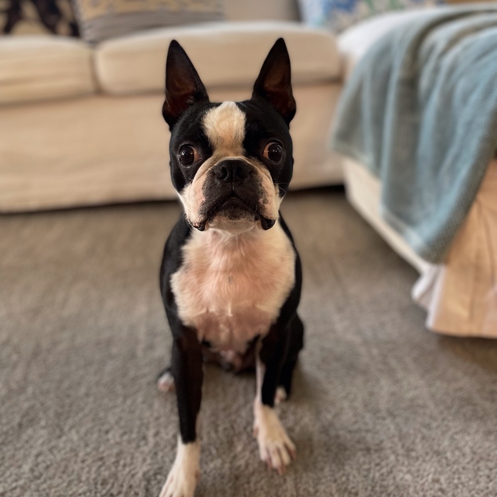 Meet your Posher, Alana